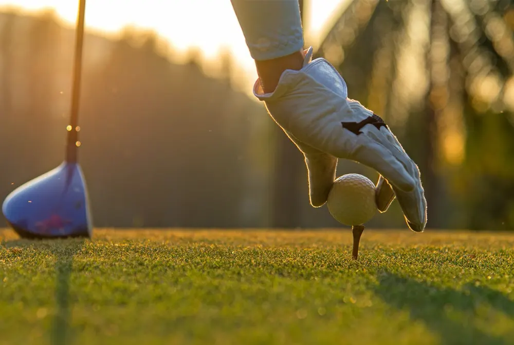Emaar Golf Homes gallery image 22