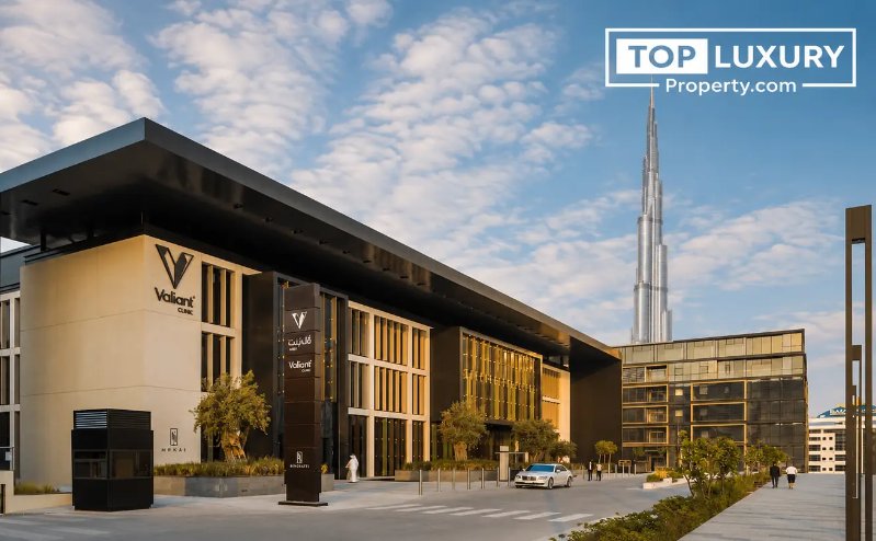Image: Best Clinics and Hospitals in Downtown Dubai