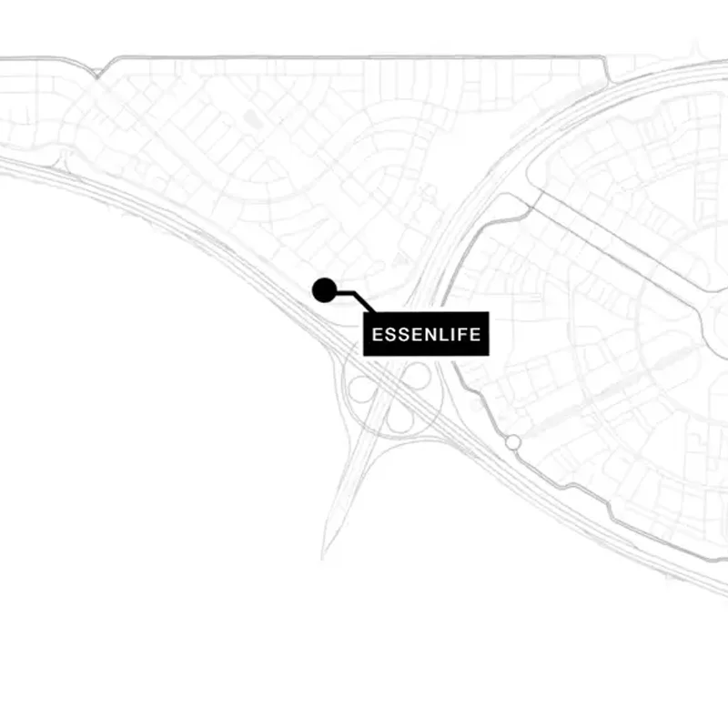 Essenlife By Object 1 Connectivity Image