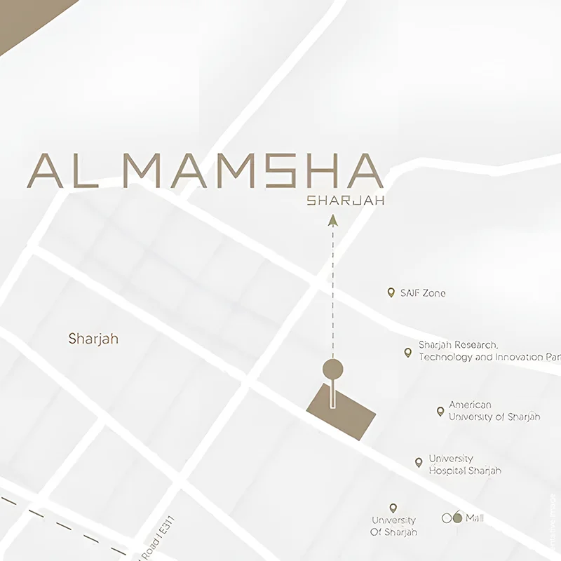 HAMSA 2 Connectivity Image