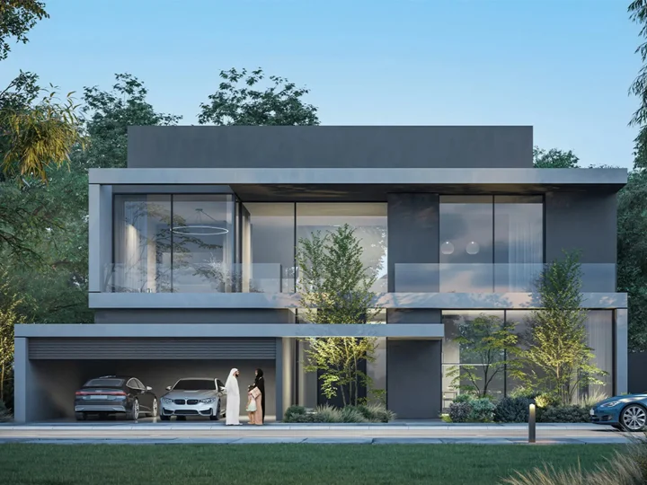 Image P1