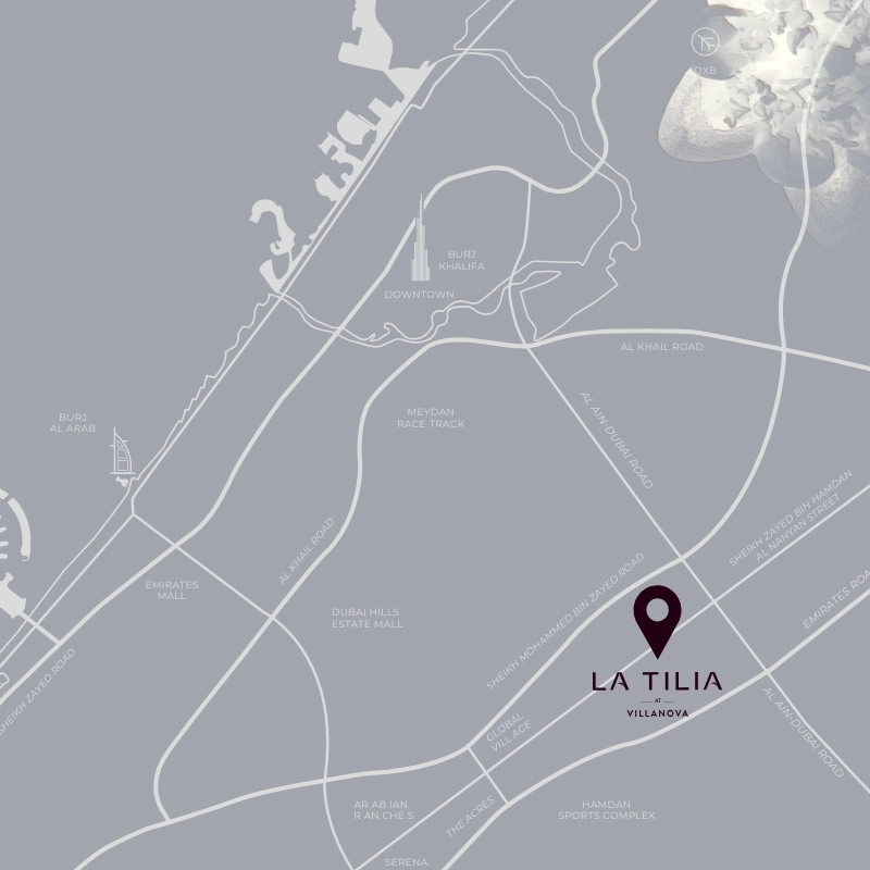 La Tilia Connectivity Image