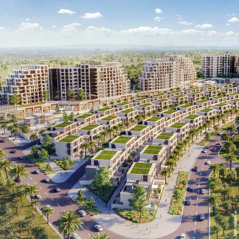 Image P3