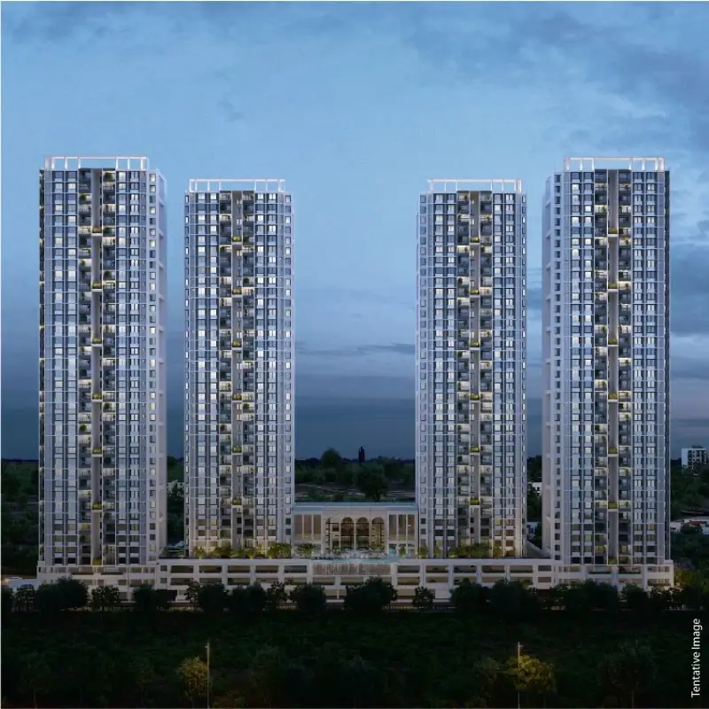 Image P2